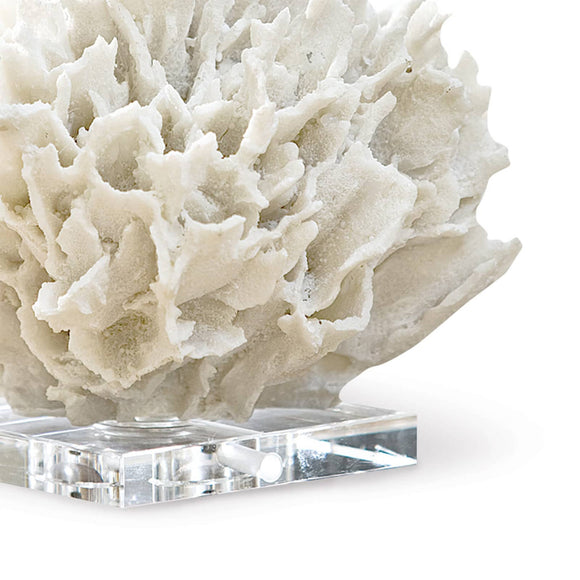 regina andrew ribbon coral white home accessories