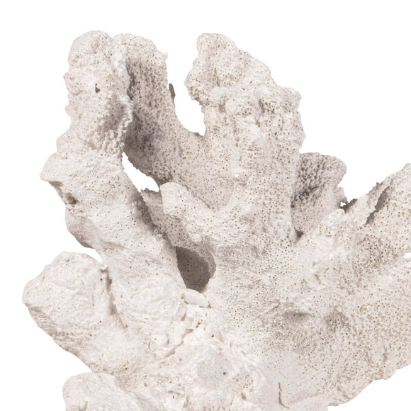regina andrew triton coral accessory white home accessories