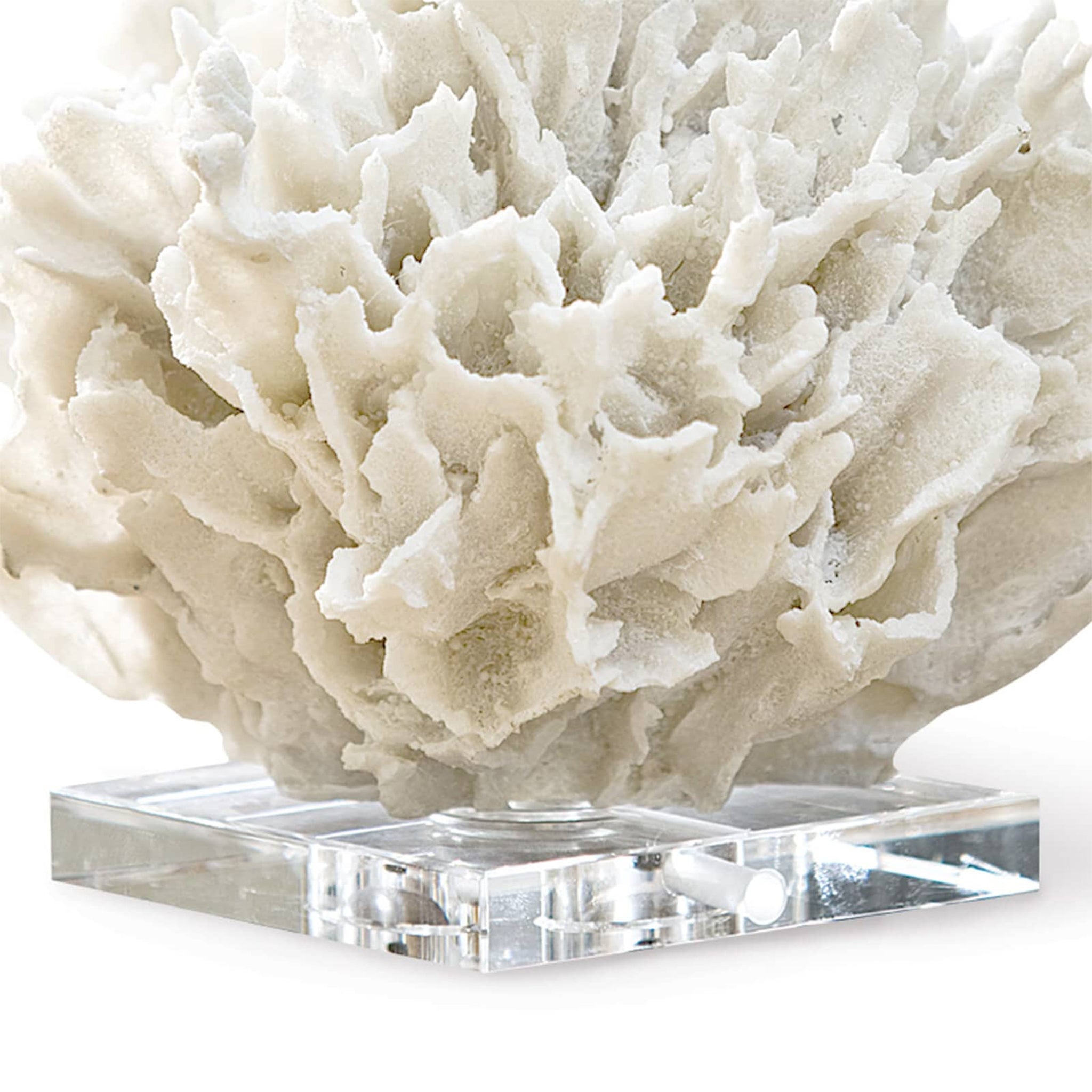 regina andrew ribbon coral white home accessories