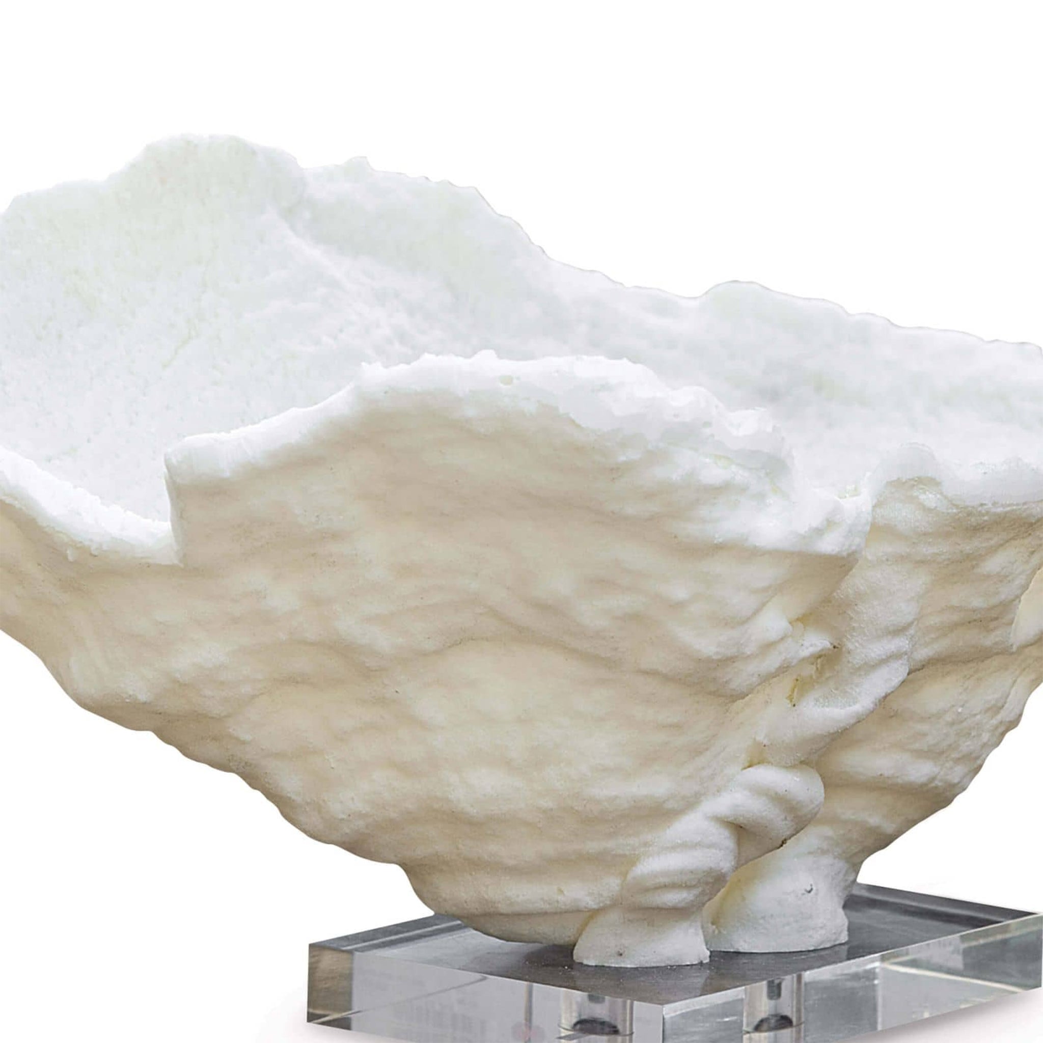 regina andrew coral reef bowl large white home accessories
