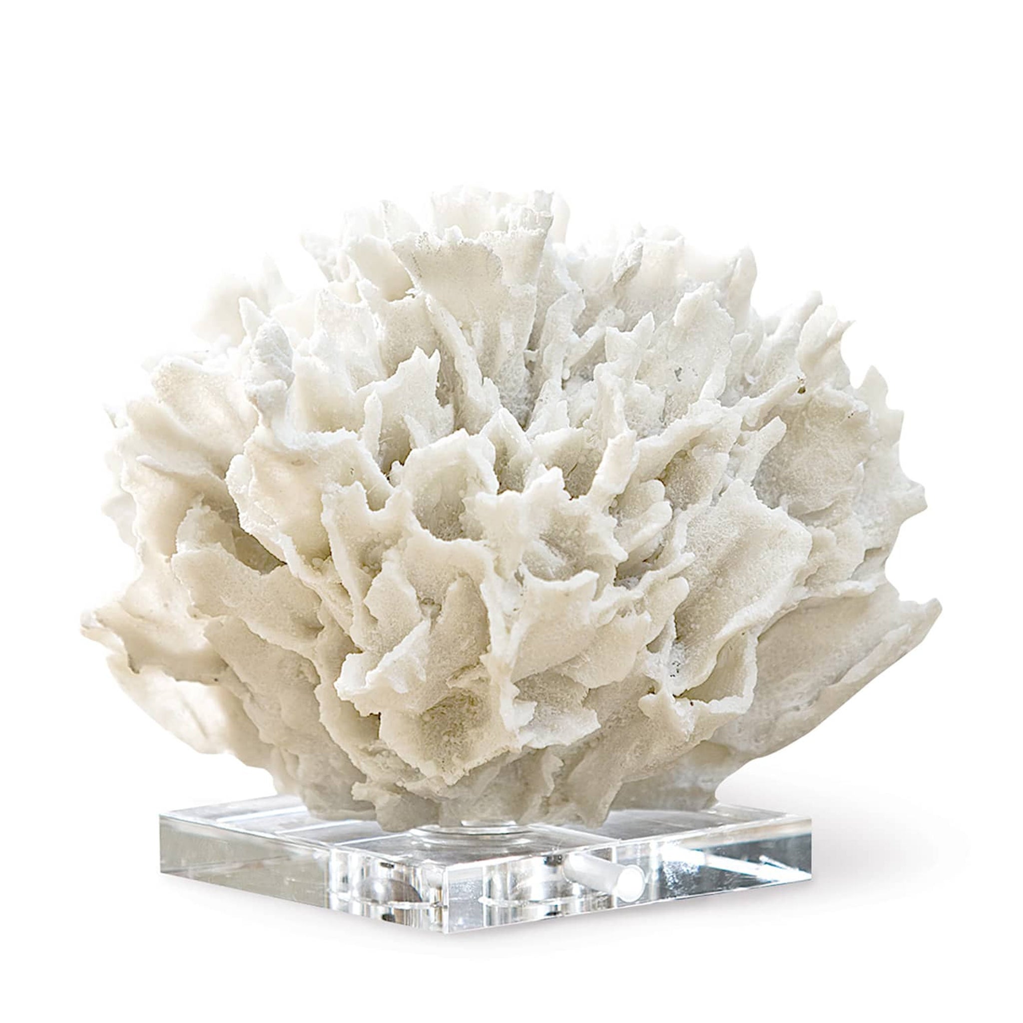 regina andrew ribbon coral white home accessories