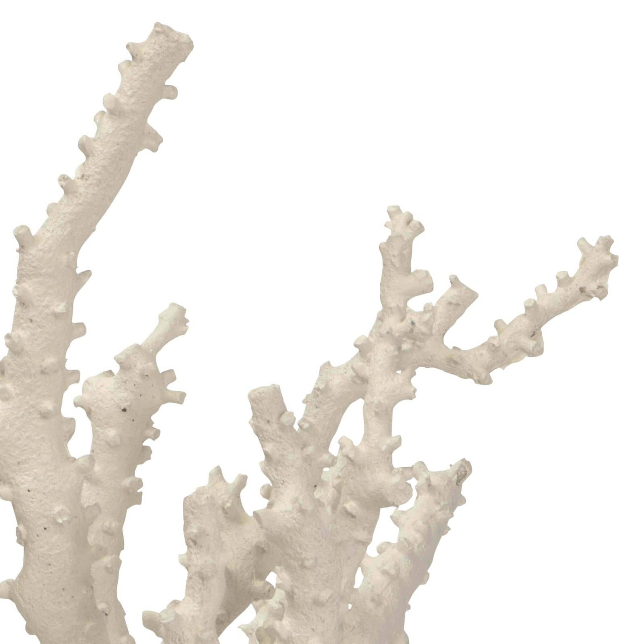 regina andrew caribbean coral sculpture ivory home accessories