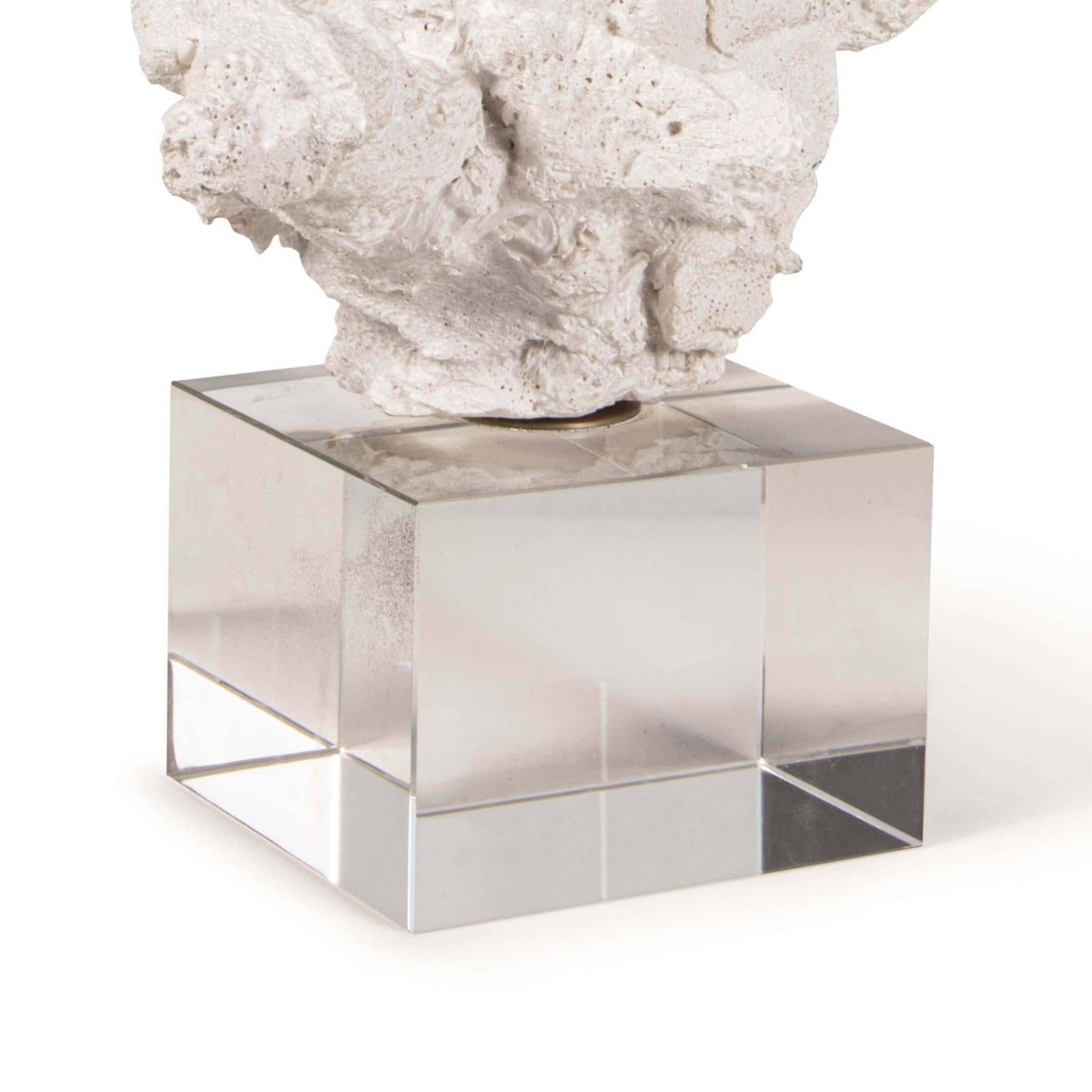 regina andrew triton coral accessory white home accessories