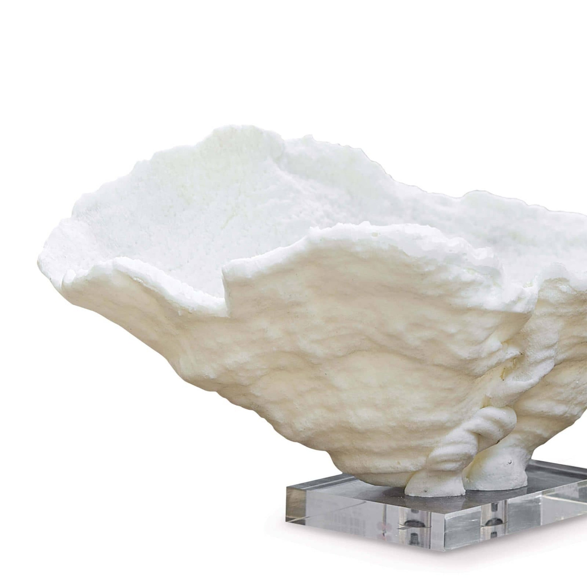 regina andrew coral reef bowl large white home accessories