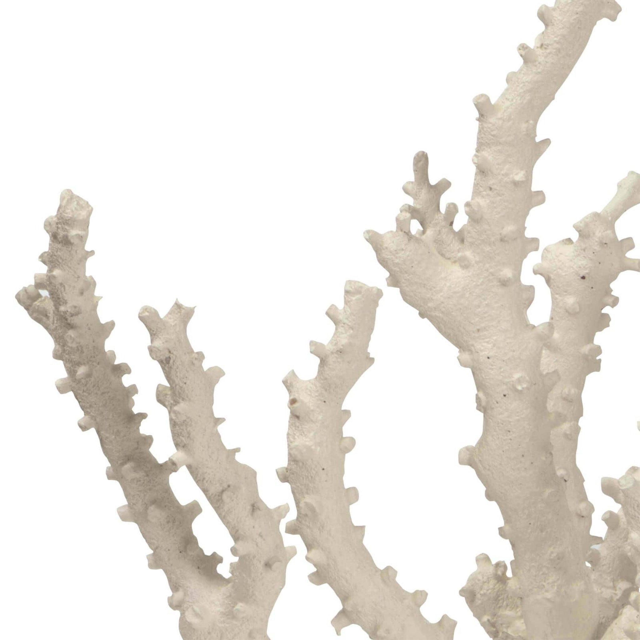 regina andrew caribbean coral sculpture ivory home accessories