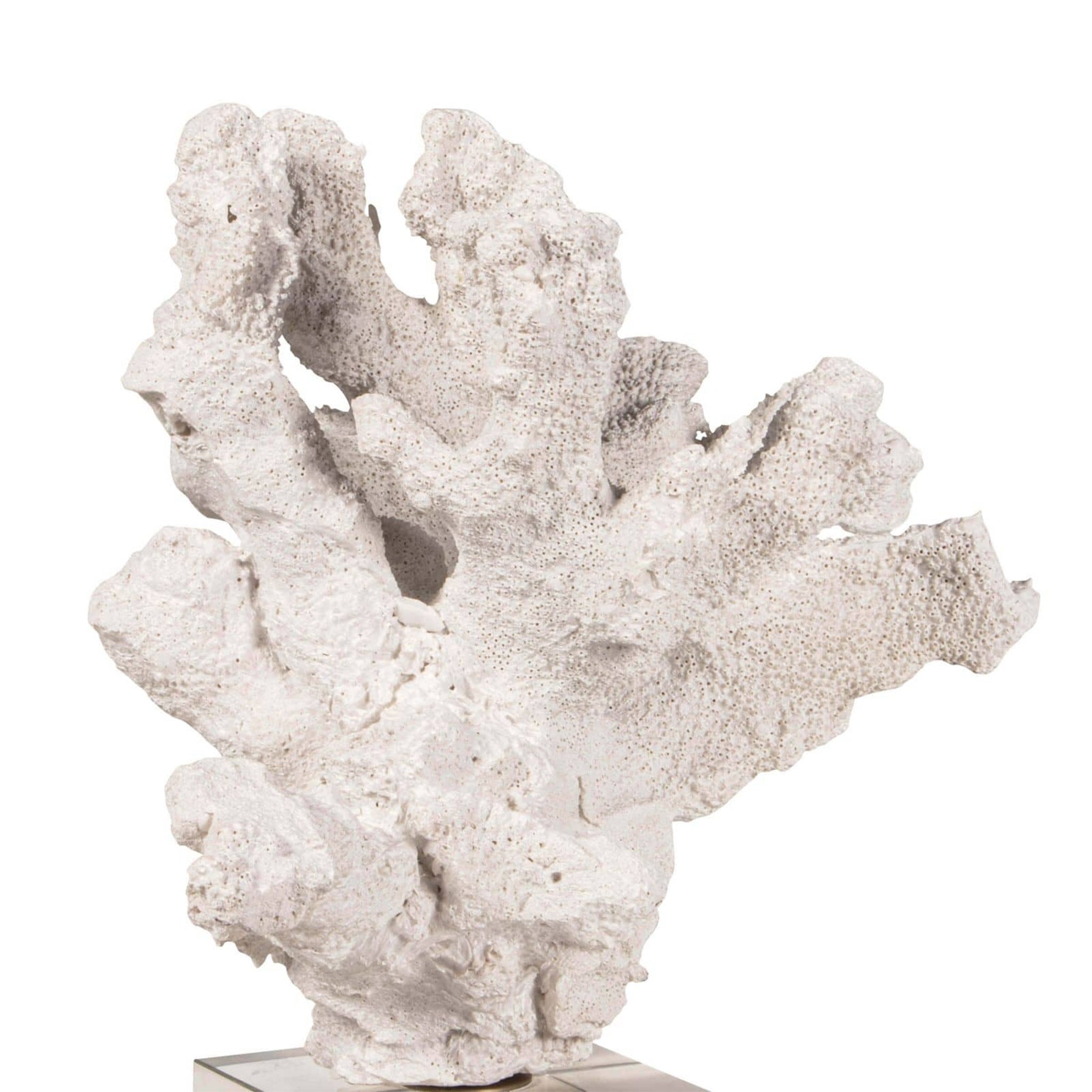 regina andrew triton coral accessory white home accessories