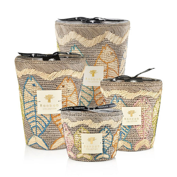 baobab max 24 vezo anosy scented candles 