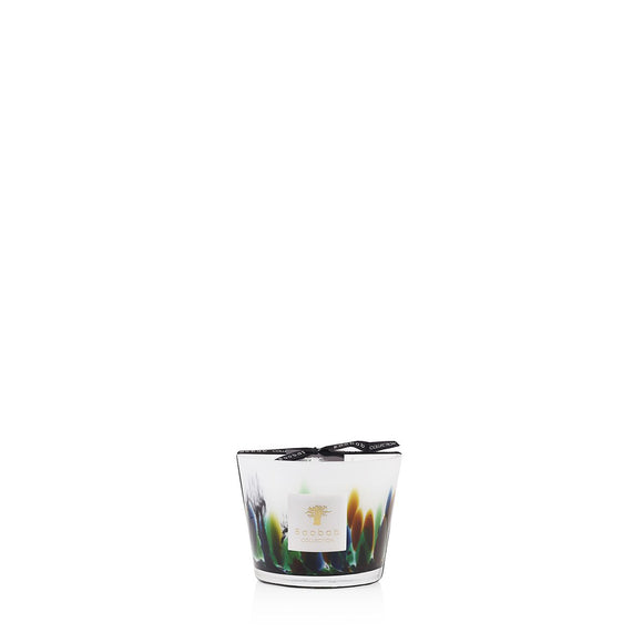 baobab max 10 rainforest amazonia scented candles