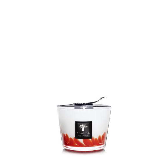 baobab max 10 feathers maasai scented candles