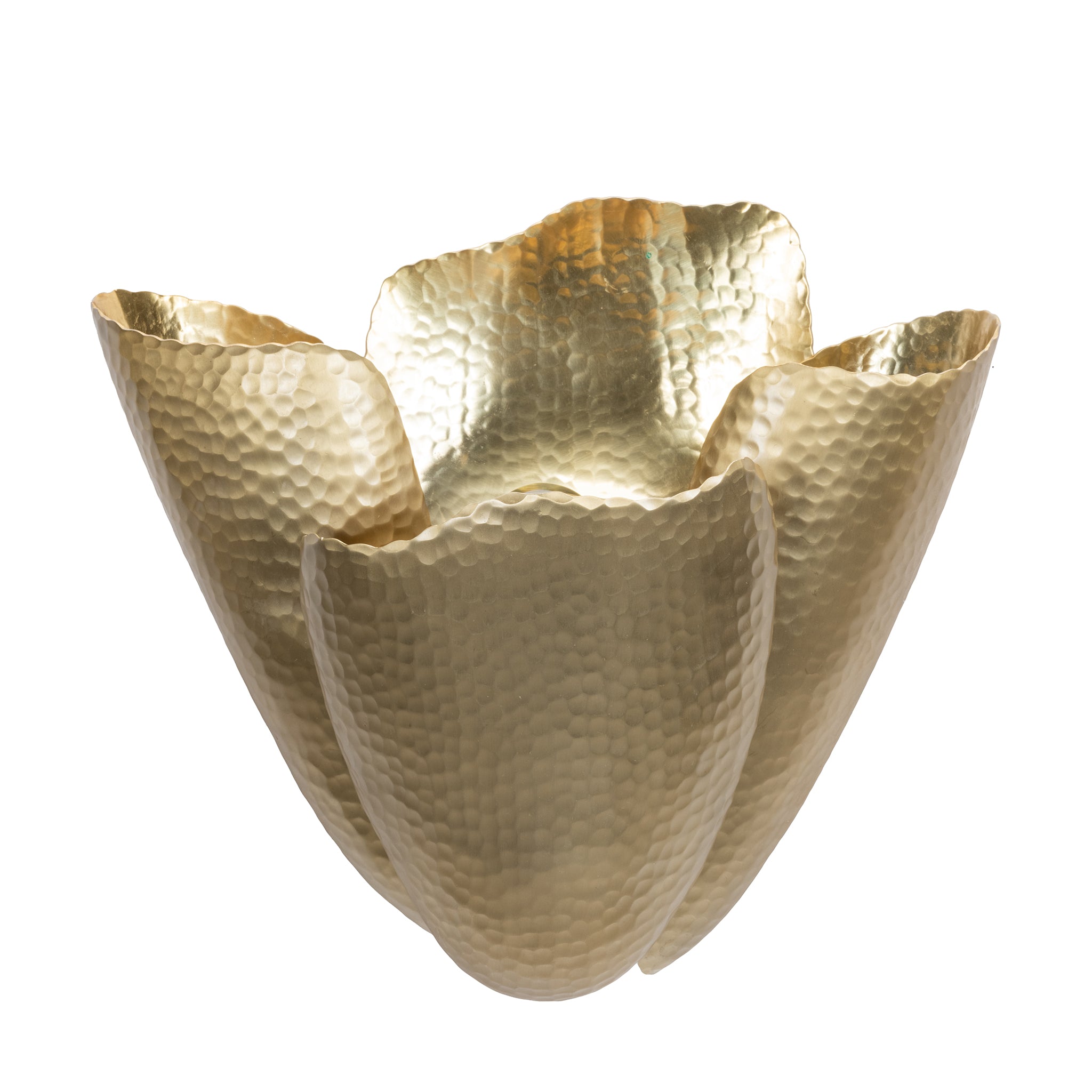 that's living amana wall sconce wall sconce