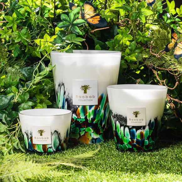 baobab max 10 rainforest amazonia scented candles 